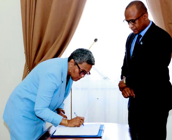 7FB IMG 1770934869332 (Pequeno)